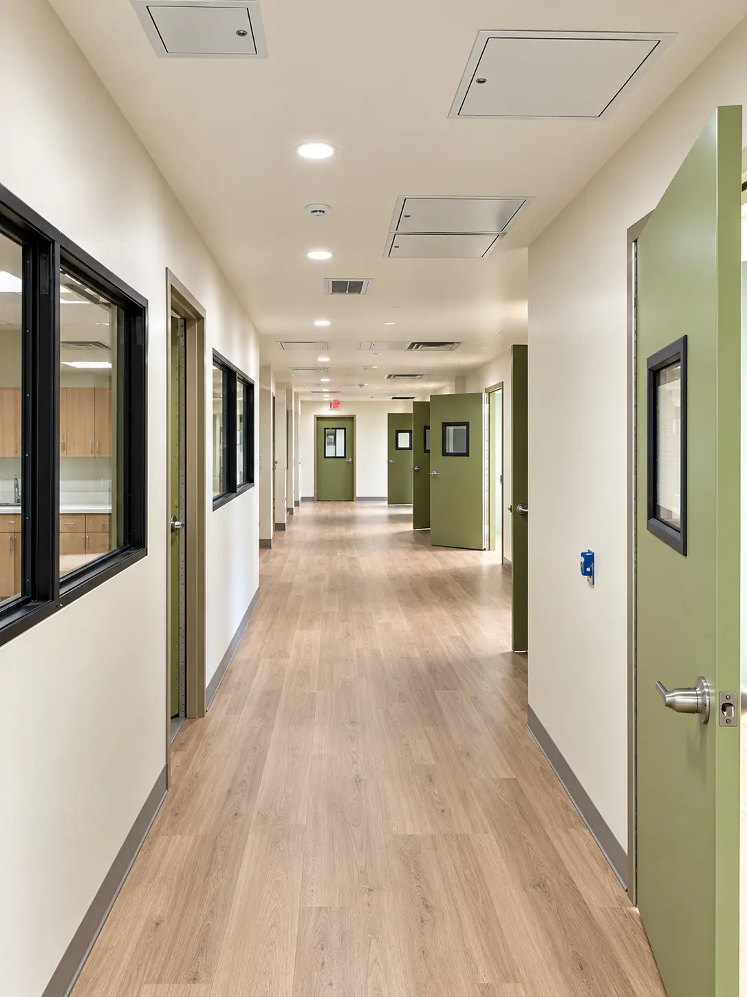 Clinical corridor with wood-look flooring and green doors